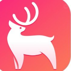 鹿优选取现使用指南：智能筛选数据的高效方法