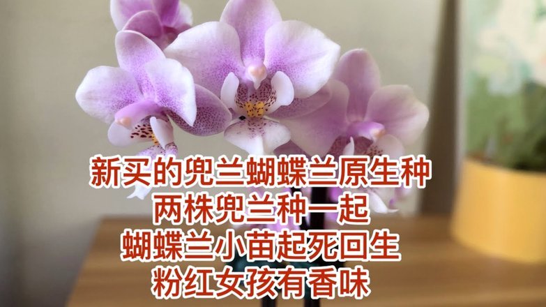 携程拿去花秒到如何提现步骤解析