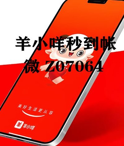 羊小咩提现多久到账揭秘