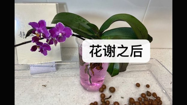 花取现：成功，真的吗？