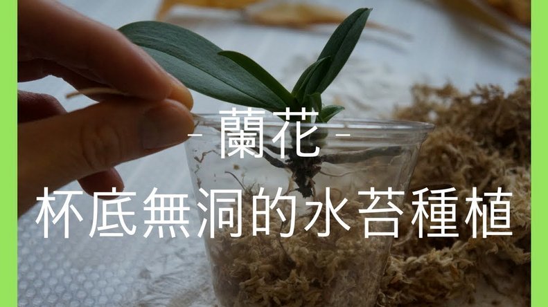 有什么办法套花呗吗