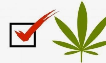 合法与合理：法律的边界