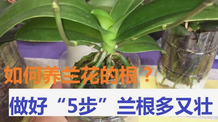 花呗真的可以取款吗？带你了解背后的风险与真相