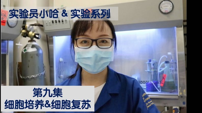 京东白条提现操作全攻略