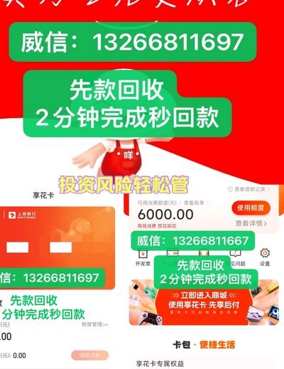羊小咩怎么贷款