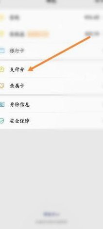 便荔卡怎么通过买东西套现