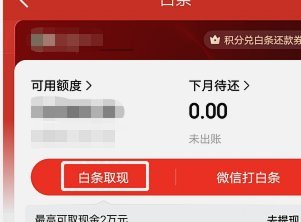 2020白条怎么套出来现金