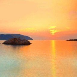 海鸥花呗是什么平台的