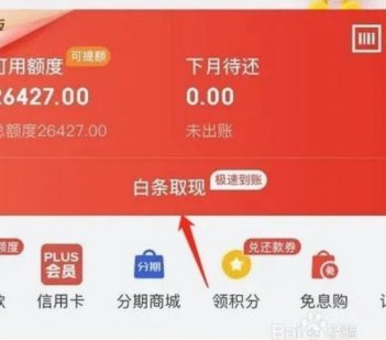 白条取现是什么东东