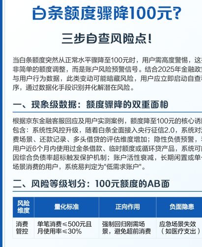 2025白条临时额度