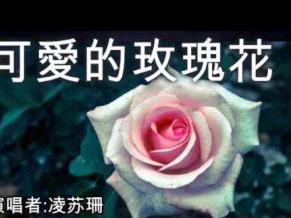 拿去花额度怎么提现 取不出来
