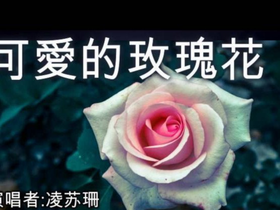 花呗套现还花呗的代价