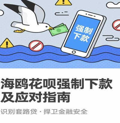 海鸥花呗平台最新更名，现名“花呗海鸥平台”
