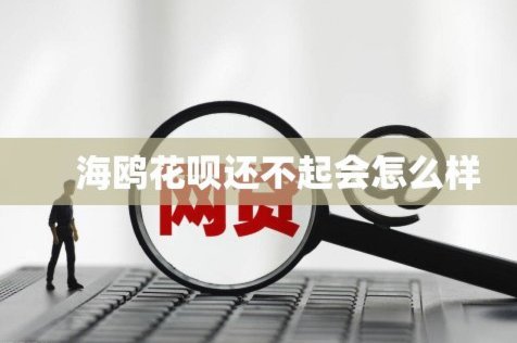 海鸥花呗平台怎么样
