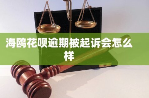 海鸥花呗平台怎么样