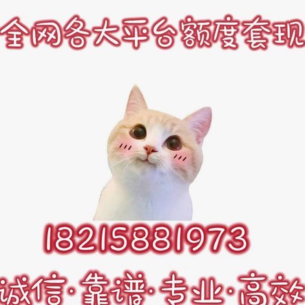 花圈套取旅游新玩法