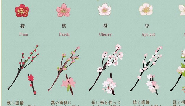 花呗分期转现金，到底算不算套现？深度解析背后的风险与骗局