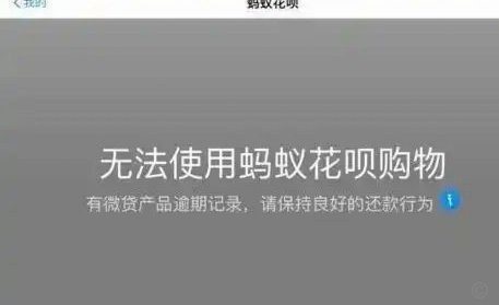 花呗：撬动中国消费新增长点